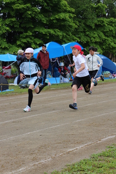 平成29年6月15日号表紙