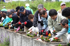 第14回パンケ歌志内川河岸親水広場草花植栽会