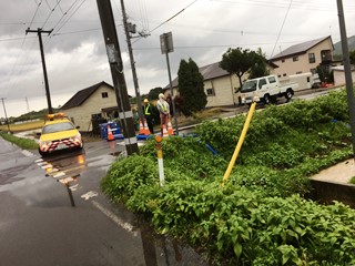 東豊沼西島地先