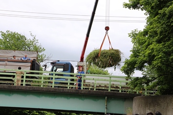 トラックへ草の積み込み作業