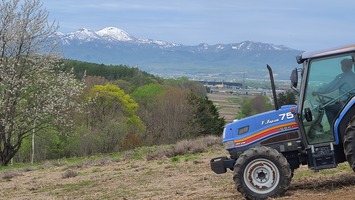 ラベンダー園からはピンネシリが望めます