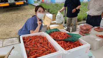 1日はオアシス館前で甘エビ祭