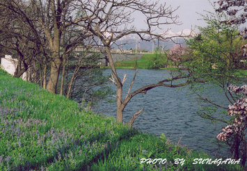 井上写真館賞 「早春の北光公園」小関　正子氏